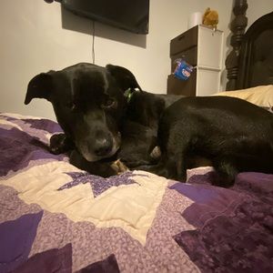 Meet your Posher, Kiera